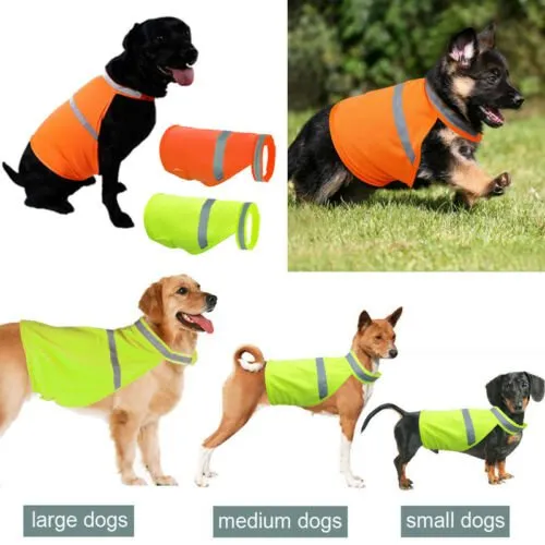 Pet Prior Reflective Dog Vest